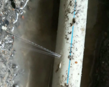 禹王台卫生间测漏水多少钱