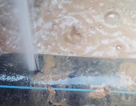 禹王台卫生间防水哪家好